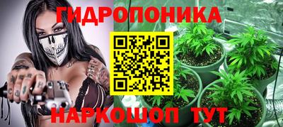 твердый Кингисепп