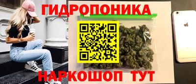 jwh Кимры