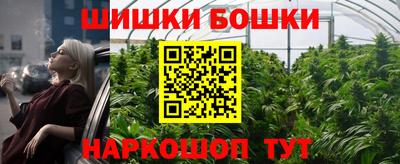 твердый Кингисепп