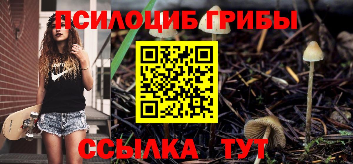 Краснодар  Галлюциногенные грибы мицелий  Вход с VPN 
